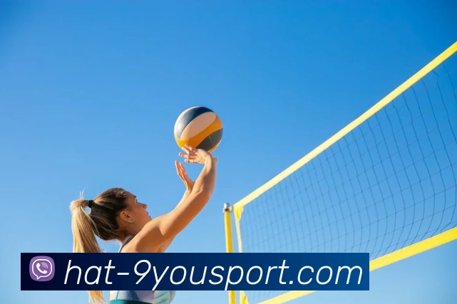 App Interface Preview