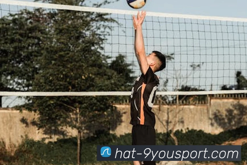 九游体育APP 封面图